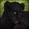  Cleftie Black Jaguar
